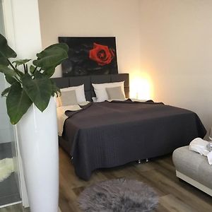 Zimmer mit Kingsize-Bett